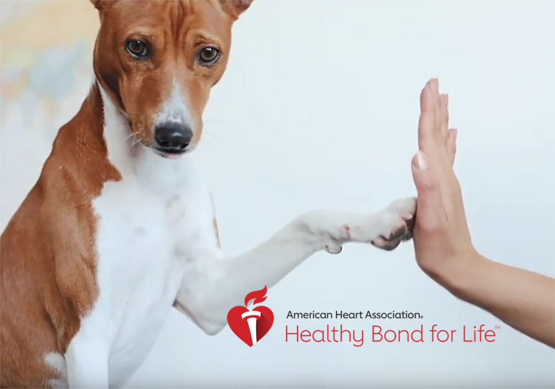 BFF dog high five BFF dog high five